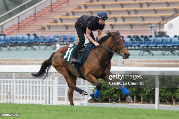 Smart Call training on the track to prepare for the LONGINES Hong Kong International Races at Sha Tin racecourse on December 7, 2017 in Hong Kong,...