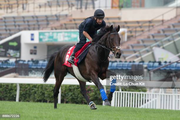 Poet's Word training on the track to prepare for the LONGINES Hong Kong International Races at Sha Tin racecourse on December 7, 2017 in Hong Kong,...