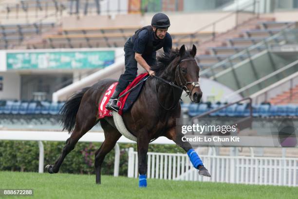 Poet's Word training on the track to prepare for the LONGINES Hong Kong International Races at Sha Tin racecourse on December 7, 2017 in Hong Kong,...