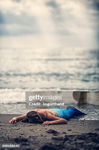 Mermaid Washed Up On Beach High Res Stock Photo Getty Images Mermaid Washed Up On Beach High Res Stock Photo Getty Images
