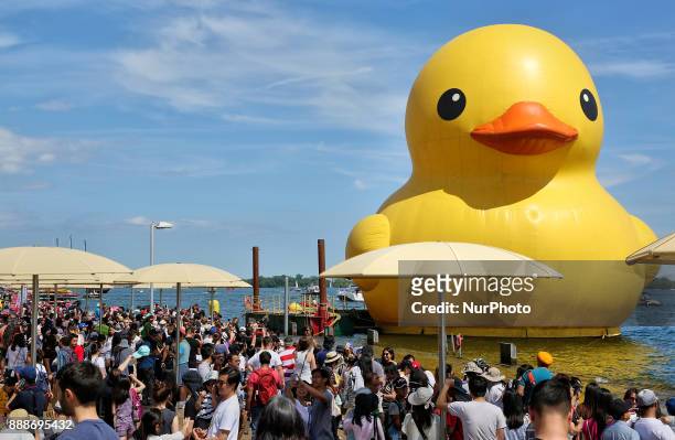 The worlds largest rubber duck arrived in Toronto, Ontario, Canada, on July 03, 2017. The giant rubber duck visited the city of Toronto as part of...