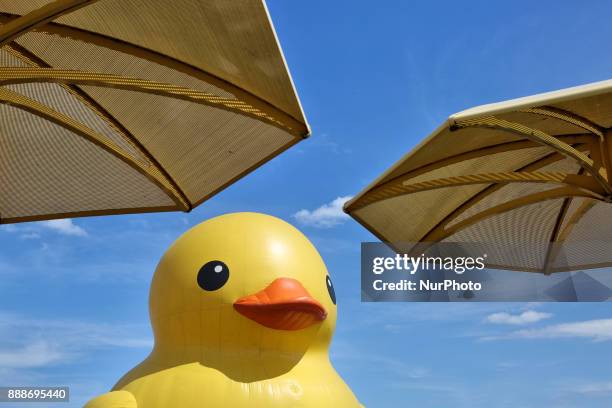 The worlds largest rubber duck arrived in Toronto, Ontario, Canada, on July 03, 2017. The giant rubber duck visited the city of Toronto as part of...