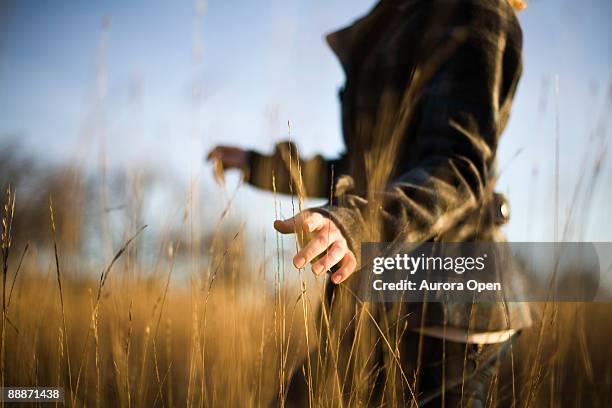 um jovem em discovery park. - timothy grass imagens e fotografias de stock