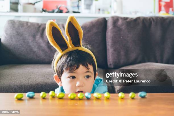 easter bunny - peter lourenco stock-fotos und bilder