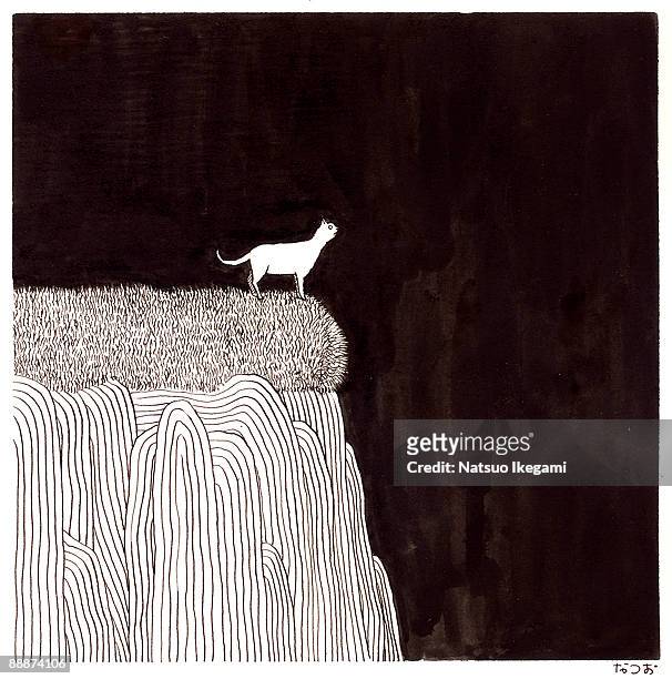 a blind cat - at the edge of stock illustrations