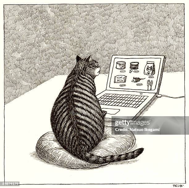 order - domestic cat stock illustrations