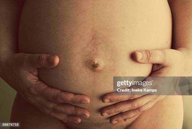 pregnant belly - ineke stock pictures, royalty-free photos & images