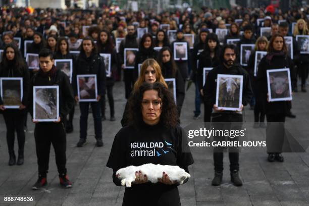 An activist of pro-animal rights group "Igualdad Animal" holds a dead goat as others hold pictures of mistreated animals during a protest marking...