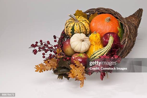 cornucopia - thanksgiving cornucopia stock pictures, royalty-free photos & images