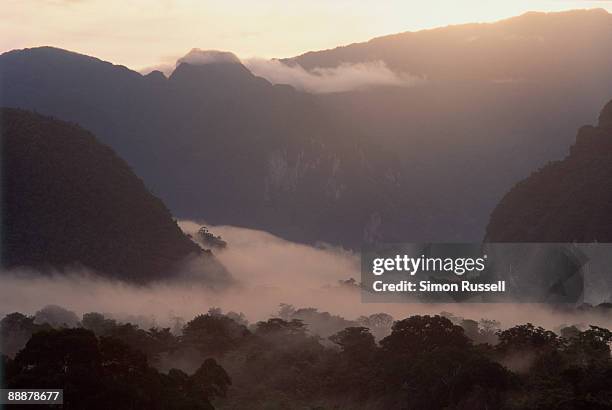 mist swirls around the mulu national park - gunung mulu national park stock pictures, royalty-free photos & images
