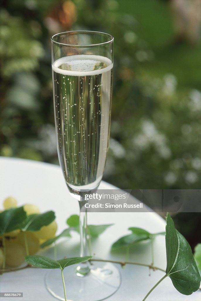 A glass of sparkling Prosecco wine