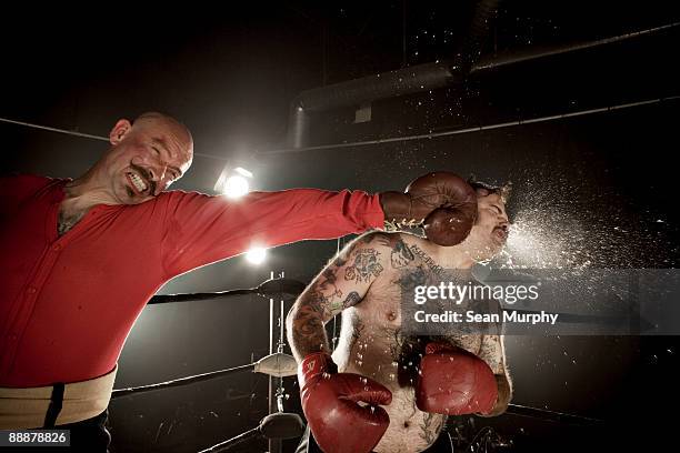 boxing - boxer knockout stock pictures, royalty-free photos & images