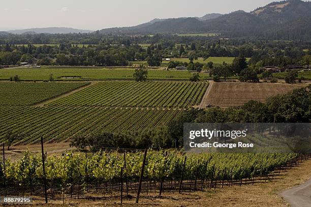 View of Sonoma Valley from the top of Kunde Vineyards is seen in this 2009 Santa Rosa, California, afternoon summer photo.