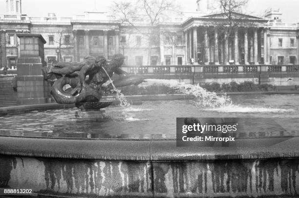 It was exactly 11.50am on a cold bright morning at Trafalgar Square when four 8 year old sea lions flipped and flapped their way down the steps at...