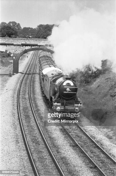 The Flying Scotsman seen here on its journey to Didcot 15th June 1974 Gentle giant. The mighty Flying Scotsman puffs softly along the glistening...