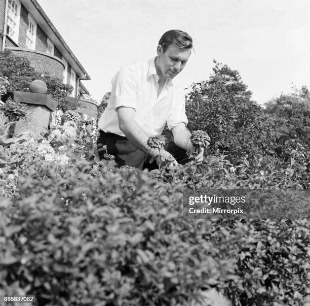 The gardener at the Tall Trees Hotel and Nightclub in Yarm, 1971.