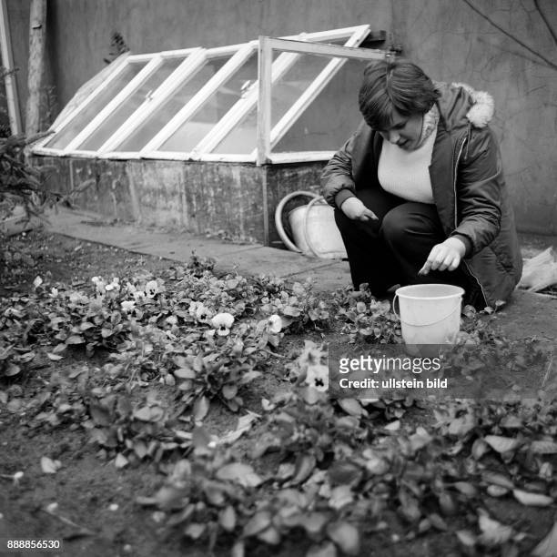 Seventies, black and white photo, people, physical handicap, school, school lessons, gardening, schoolgirl 13 to 15 years working in a flowerbed,...