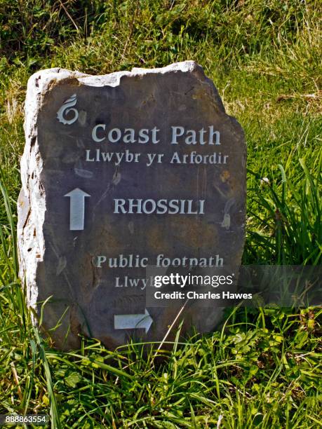 Gower Dialect 561 Gower Park Stock Photos, High-Res Pictures, and Images - Getty Images
