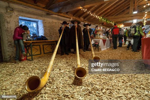 Musicans In Traditional Garment Playing The Alphorn Or Alpenhorn On A Christmas Market In Martell Valley . Europe. Central Europe. Italy. South...