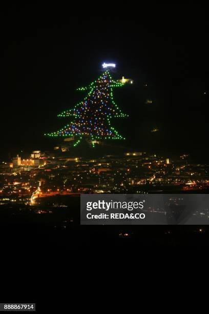 Christmas tree on Gubbio. Umbria. Italy.