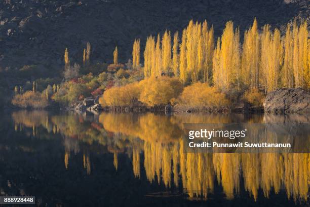 autumn tree reflection in kachura lake, skardu village, gilgit baltistan, pakistan - skardu stock pictures, royalty-free photos & images