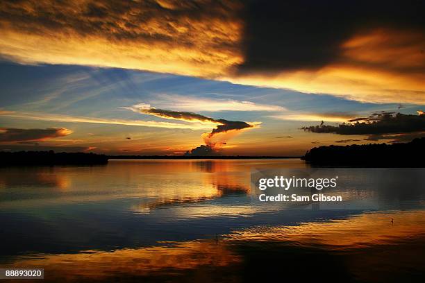 a sunset over the amazon river - 7894 stock pictures, royalty-free photos & images