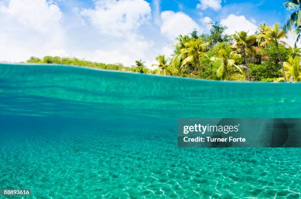 view underwater and tropical landscape above - turner forte stockfoto's en -beelden