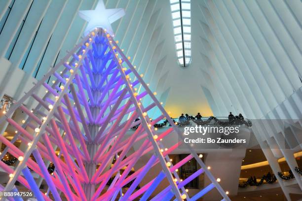 Oculus Tree 184 Christmas Tree Ceiling Stock Photos, High-Res Pictures, and Images ...