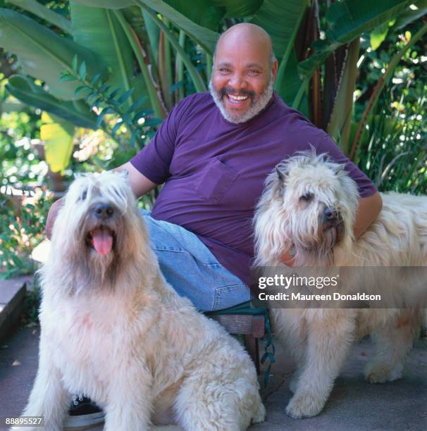 American actor James Avery, circa 1995. His best-known role is that of Uncle Phil in 'The Fresh Prince of Bel-Air'.