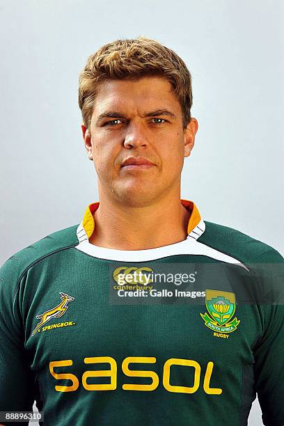 520 South African Springbok Juan Smith Stock Photos, HighRes Pictures