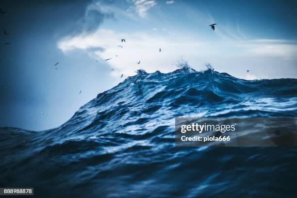 out in a rough north sea - wave stock pictures, royalty-free photos & images