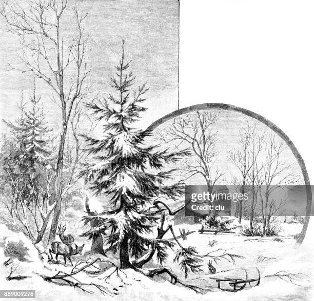 stockillustraties, clipart, cartoons en iconen met romantische winterlandschap met fir tree, herten, konijnen en slee - landscape black and white