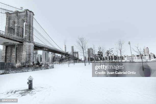 brooklyn bridge - hielo stock-fotos und bilder