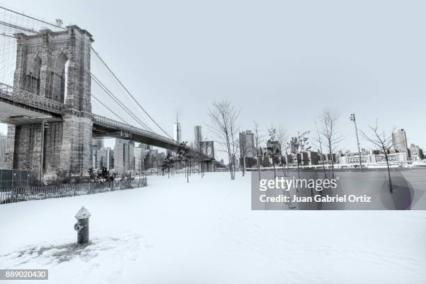 brooklyn bridge - hielo stock pictures, royalty-free photos & images