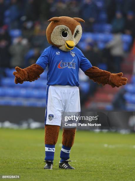 Chaddy Click Chaddy The Owl Photos and Premium High Res Pictures - Getty Images