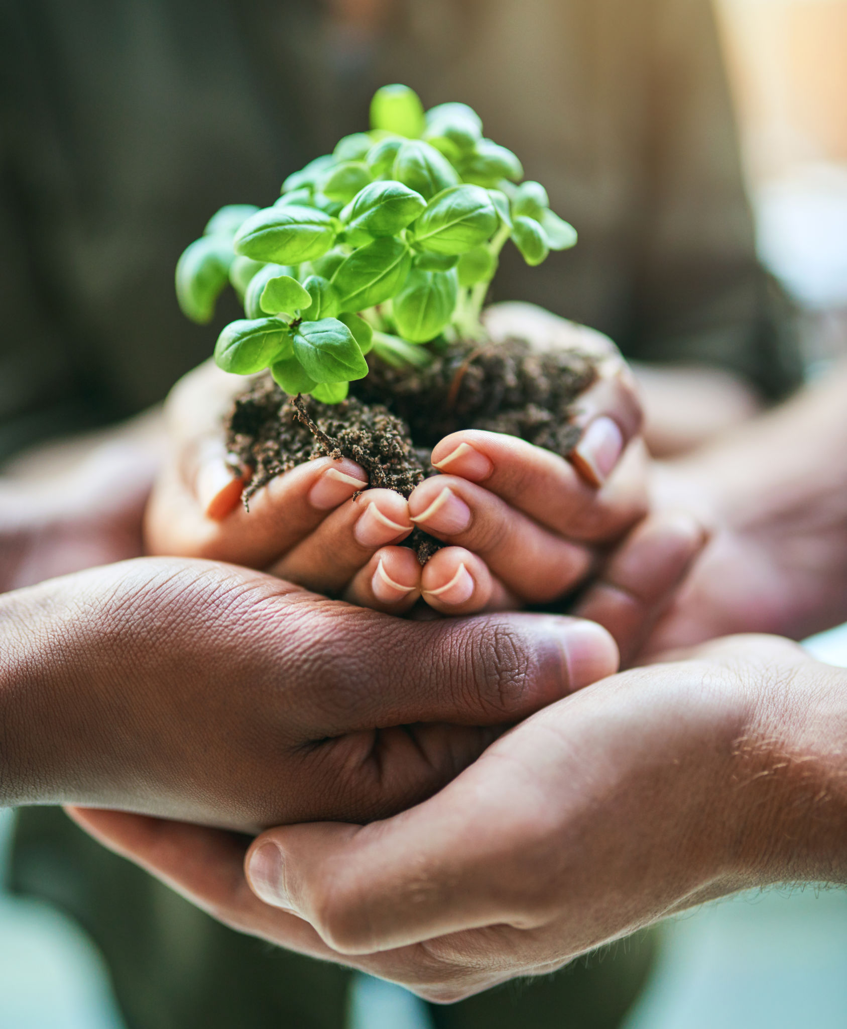 community agriculture