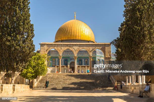 dome of the rock, on temple mount, mount moriah, in the old city of jerusalem, israel - mieneke andeweg stock pictures, royalty-free photos & images