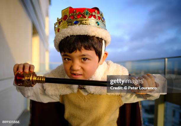 little king. - peter lourenco fotografías e imágenes de stock