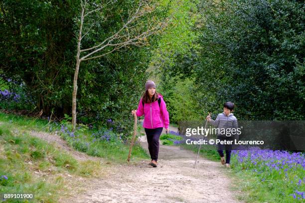 mother and son countryside walk - peter lourenco stock-fotos und bilder