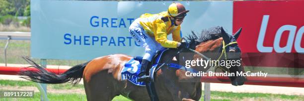 Riverlea Honours ridden by Rebeka Prest wins the Kevin Hicks Real Estate Maiden Plate at Tatura Racecourse on December 10, 2017 in Tatura, Australia.