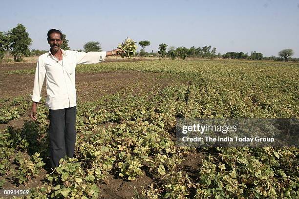 Farmer Gokul Prasad with a dry crop at his agricultural land and looking for monsoon cloud in Bhopal, Madhya Pradesh, India