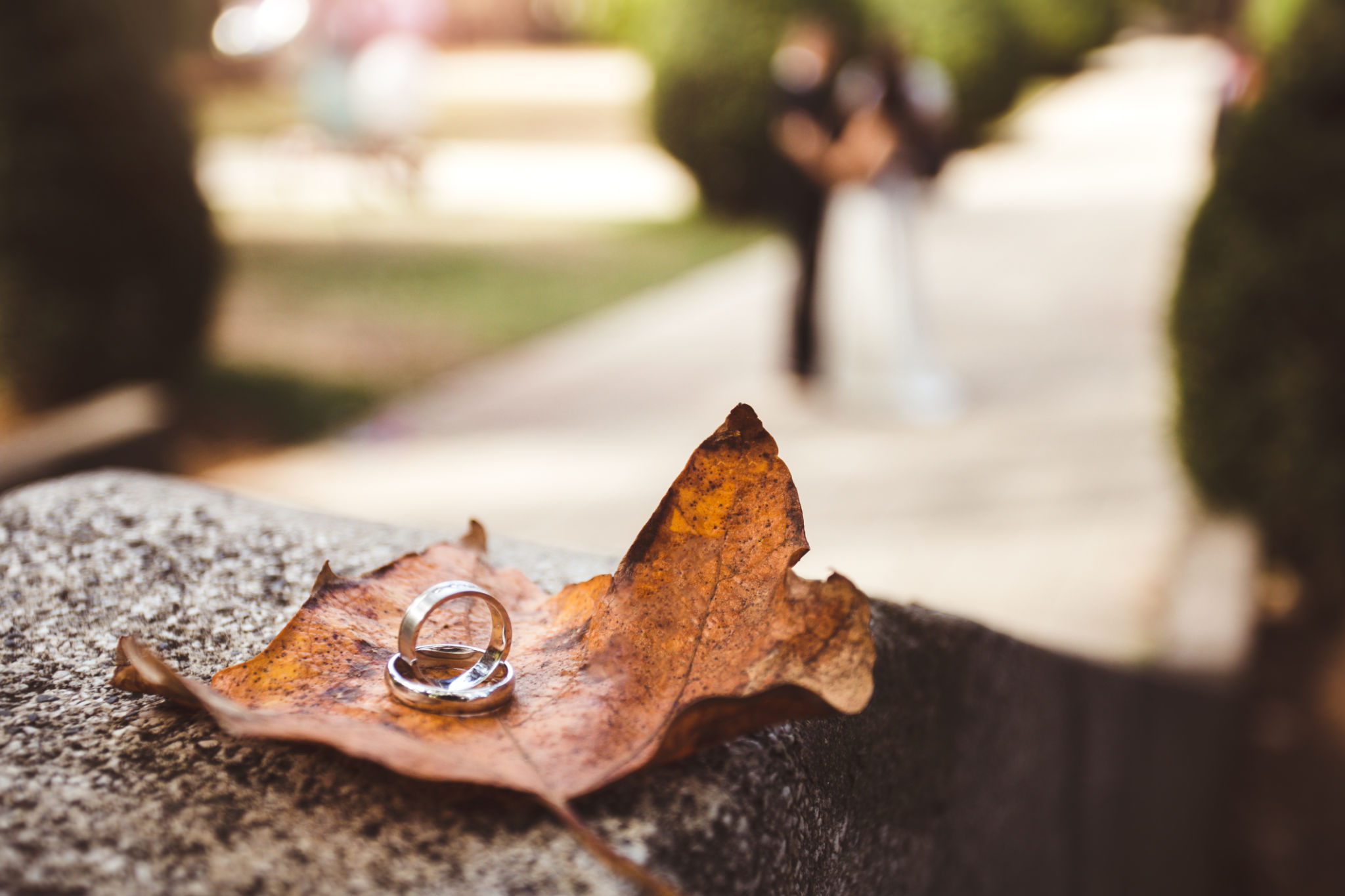 autumn wedding leaves