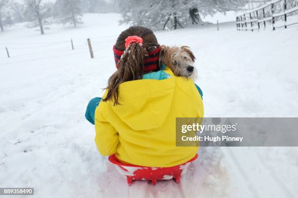 Youngster takes her terrier for a toboggan ride on December 10, 2017 in in Welsh Frankton, England. Heavy snow has hit many parts of the UK, closing...