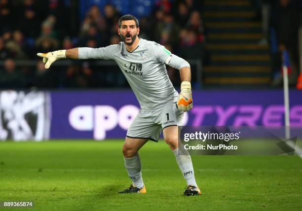 Crystal Palace's Julian Speroni during Premier League match between Crystal Palace and AFC Bournemouth at Selhurst Park Stadium, London, England 09...