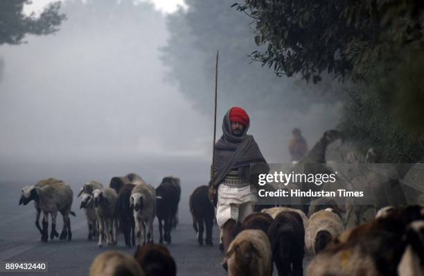 Shepard walks along its herd amid smog filled morning atmosphere in the outskirts of Dwarka, on December 10, 2017 in New Delhi, India.