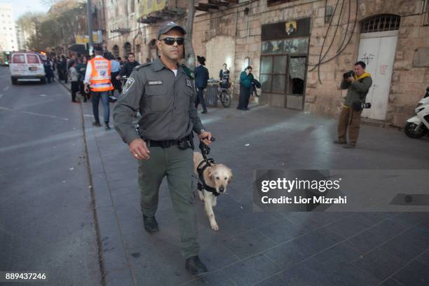 Israeli Border Police with a dog inspect the scene of an attack at the Jerusalem Central Bus Station on December 10, 2017 in Jerusalem, Israel. An...