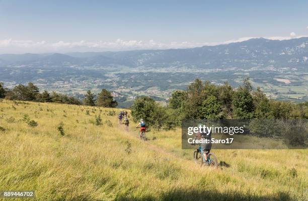 fast mountainbike downhill in the slovenian hills. - nova gorica stock pictures, royalty-free photos & images