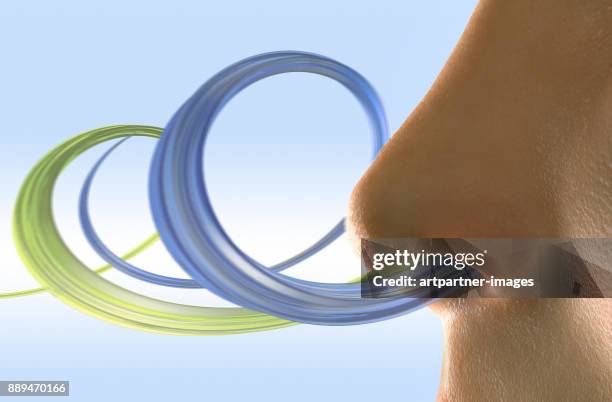 human nose smells two different fragrances - nariz humana fotografías e imágenes de stock