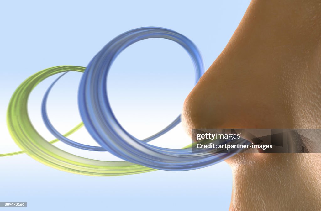 Human nose smells two different fragrances