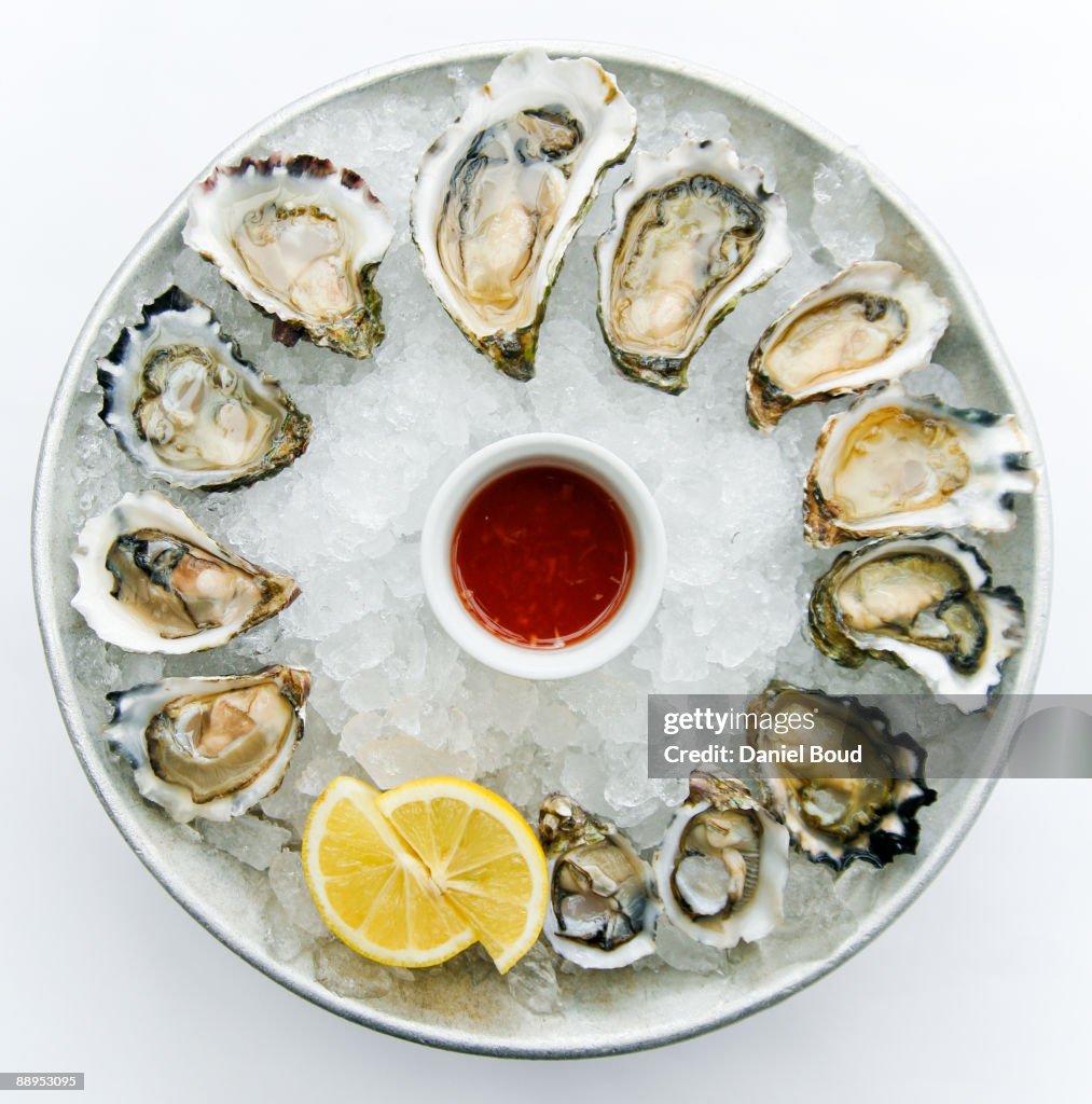 Oysters